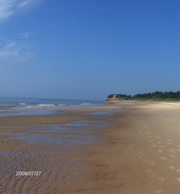 Low tide looking west